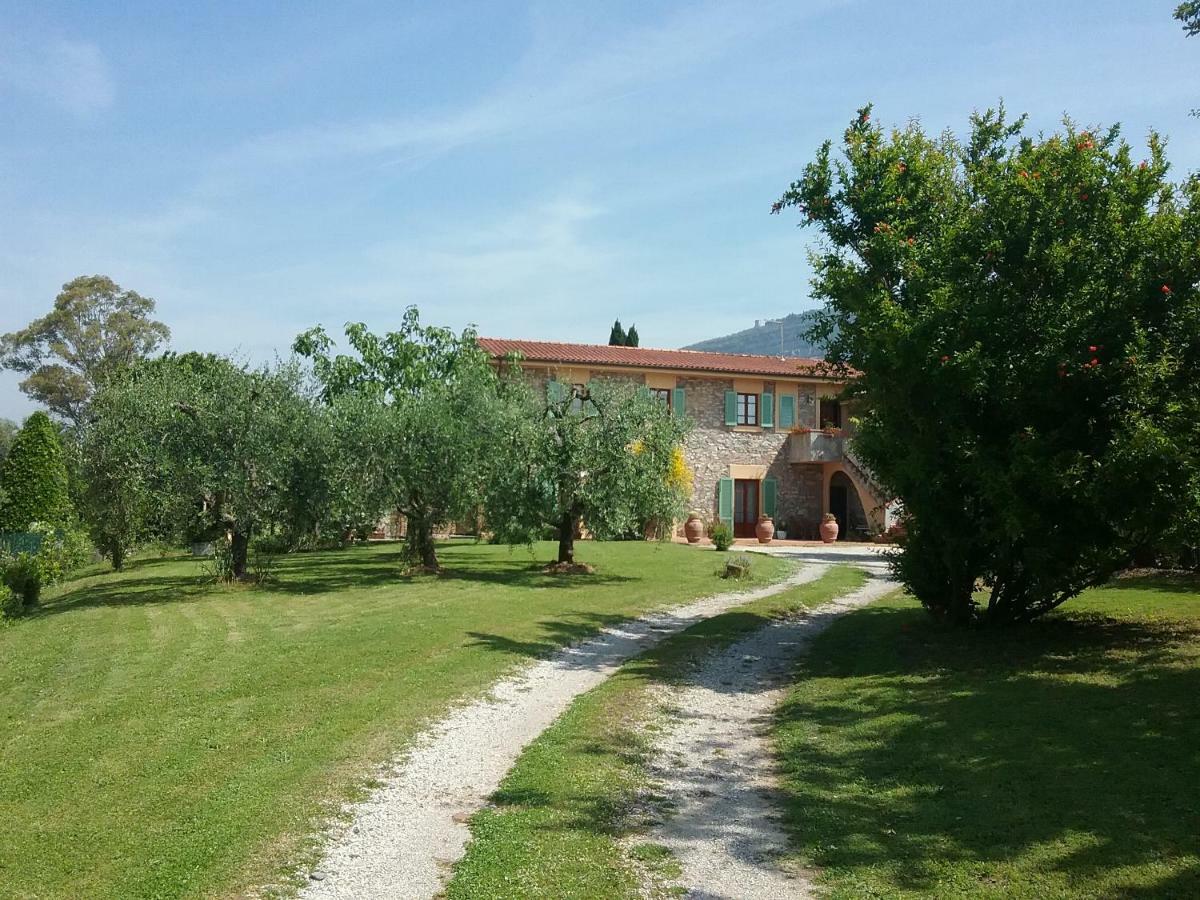 Appartamento Locazione turistica La Ginestra Monsummano Terme Esterno foto